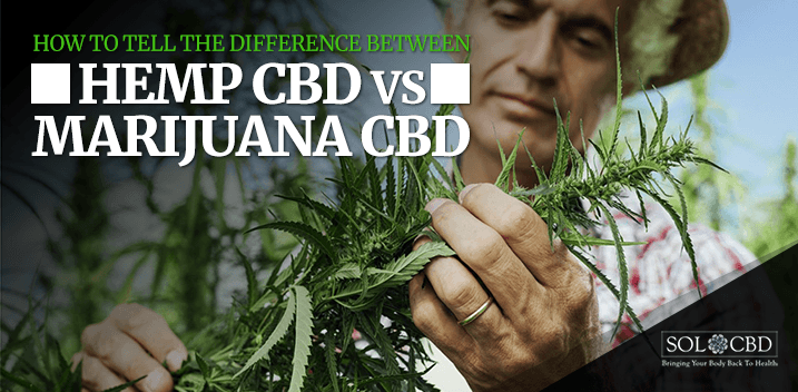 Hemp Derived CBD Vs Marijuana CBD: The Difference – SOL CBD