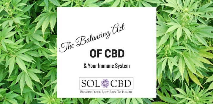 The Balancing Act of CBD & Your Immune System | SOL CBD